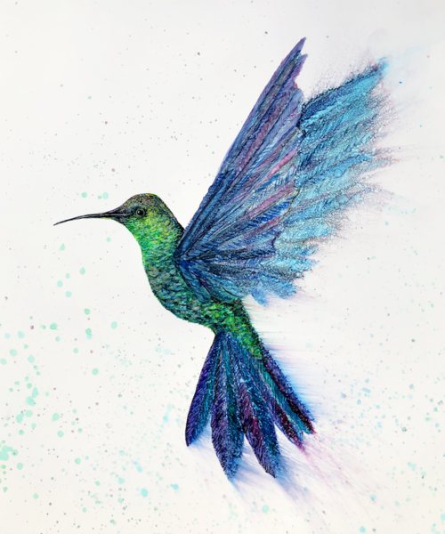 Hummingbird in Flight