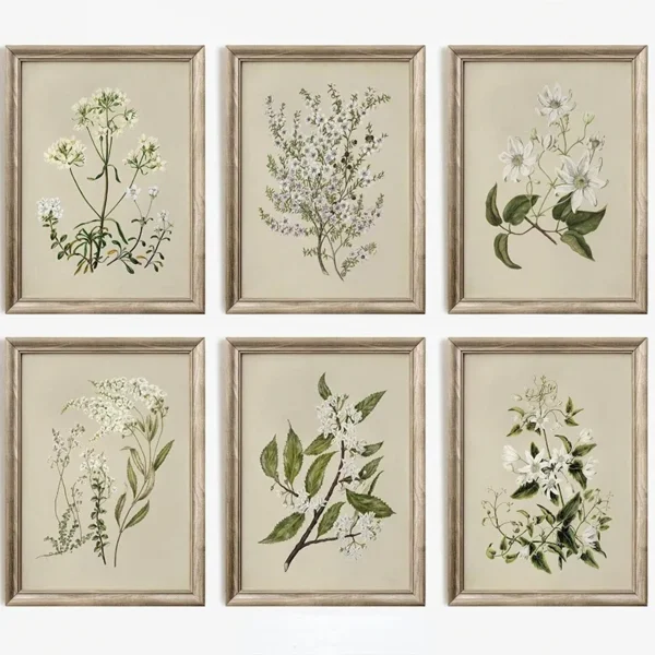 Flower Floral Gallery Art Poster Canvas Painting Wall Prints Picture for Living Room Home Decor Vintage Beauty Style Botanical